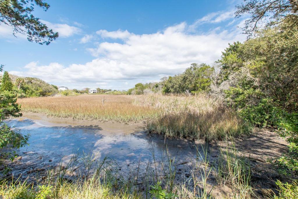 Marsh Front Birders Paradise Close To Beaches And Downtown เซนต์ออกัสติน ภายนอก รูปภาพ